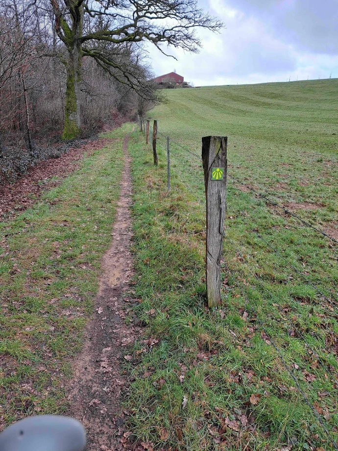 chemin dans la campagne