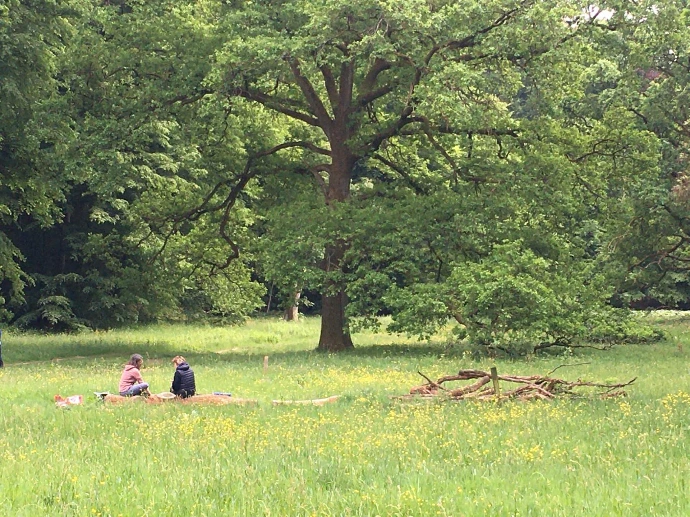 groupe de personnes assises dans une prairie